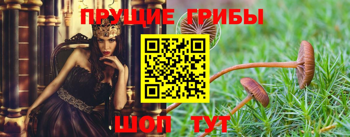 Псилоцибиновые грибы MAGIC MUSHROOMS  Вход с VPN  Наро-Фоминск  Псилоцибиновые грибы GOLDEN TEACHER 